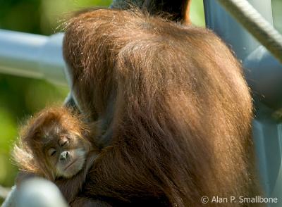 Mom and baby