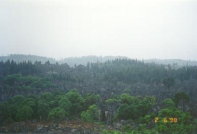 kunming stone forest