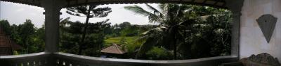 view from the ubud hotel room