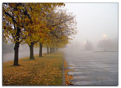 Autumn fog