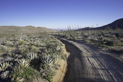 Hapaha Flat Anza Borrego