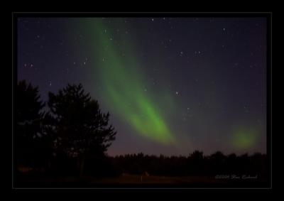 wisps of green I