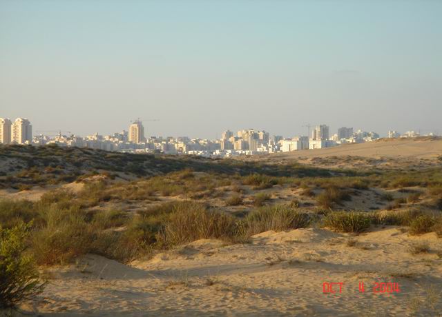 dune buggying near ashdod17.JPG
