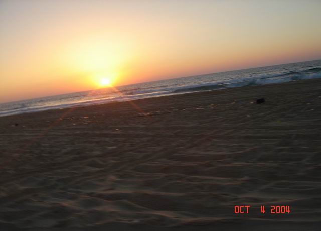 dune buggying near ashdod29.JPG