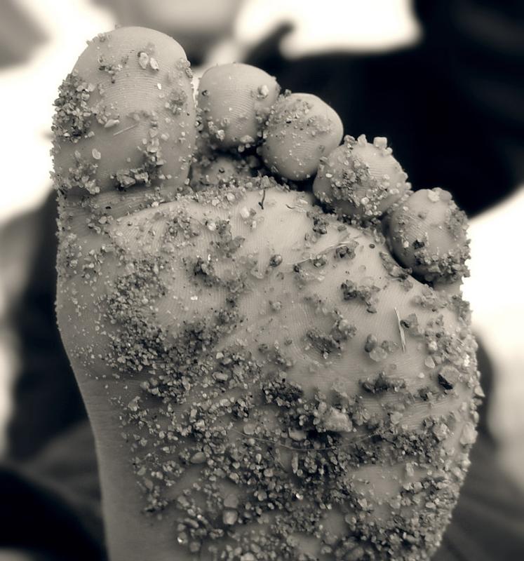 <b>5th</b><br><b>Sandy Toes</b><br>by Mike Klemmer