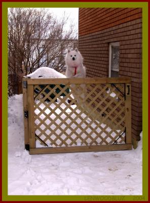 LET ME OUT !!!!!!!!!!!!!!  *    by      LENWOODBLUZ