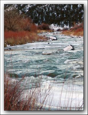 Winter Color on Riverbank*by TXan