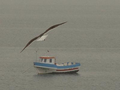 Sea like a mill-pond*Jos Maria Simeschange was made to the original