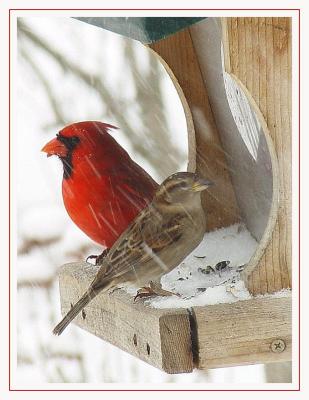 Sharing Shelterby Bev Brink