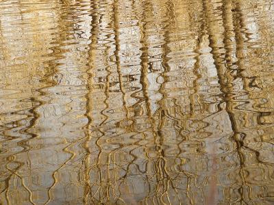 Water Movementby Mike Klemmer