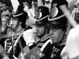 <B>DrumsticksInMotion2</b>*<br>by db.