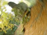 <b>Camera Shake - Sort Of</b><br><font size=1>by Garry Platt</font>