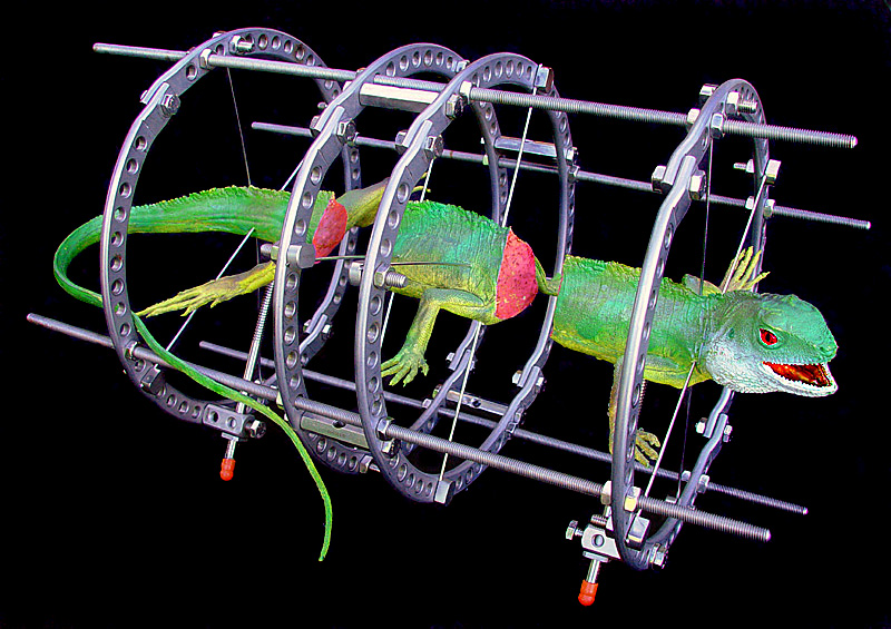<b>Lizard Rods</b><br><fontsize=1>by johnebones