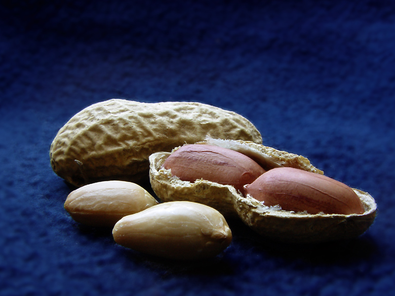 <b>Peanuts *</b><br>by Hewy