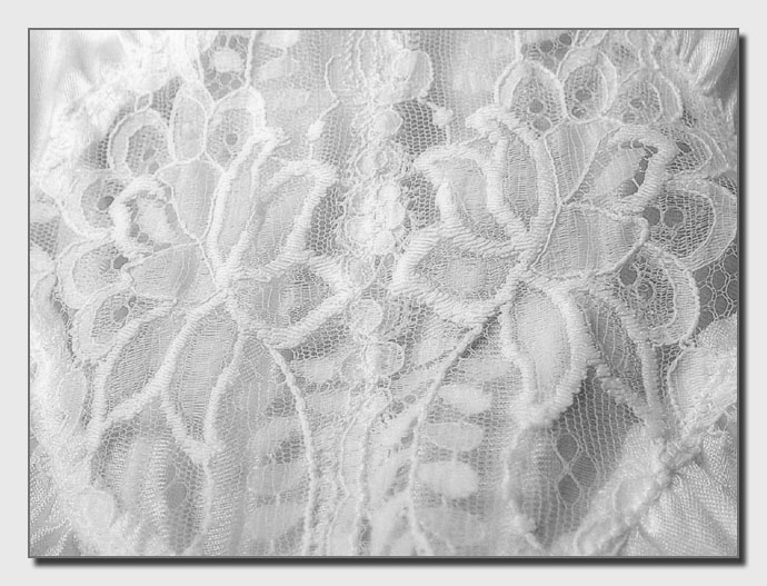 <b>lace</b> <br> <font size=1> by Faye White</font></p>