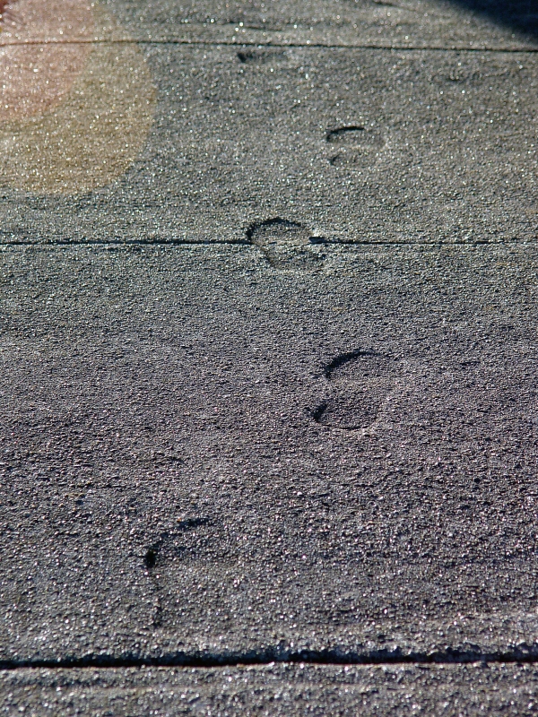 Footprints<br><font size=2>by KMCC