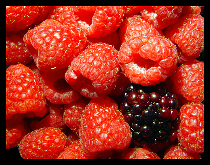 <b>Berry Textured</b><br><font size=1>A Challenge Header Photo</font>