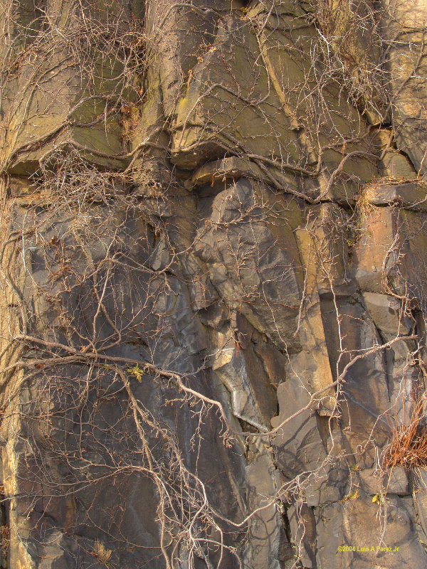 <b>Rockface</b> by Luis A Perez Jr