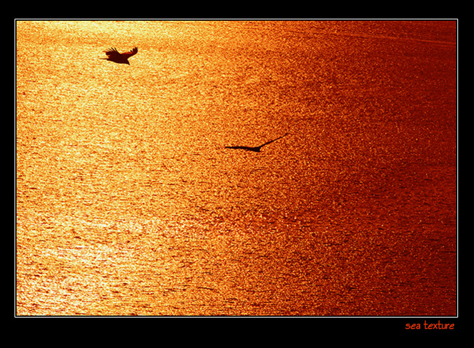 SEA TEXTURE by URA SAMONOV (2004)*