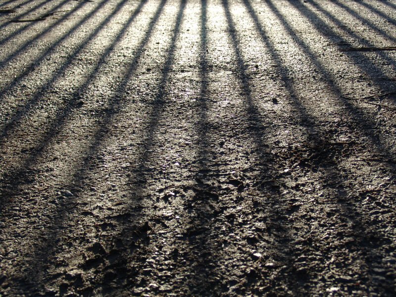 <b>Mud Shadows *</b><br> By Steve Cheetham