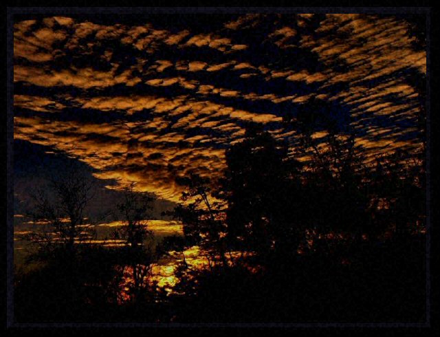 <b>Evenings Glory</b><br><font size=1>NC</font>