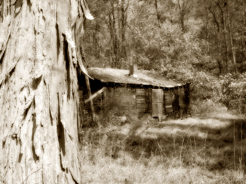 <b>Rural Textures</b><br><font size=1>Keith McKane</font>