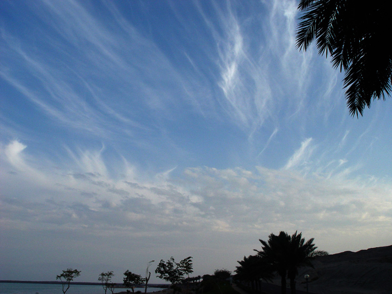 Wisps of Air by Dani Kahn