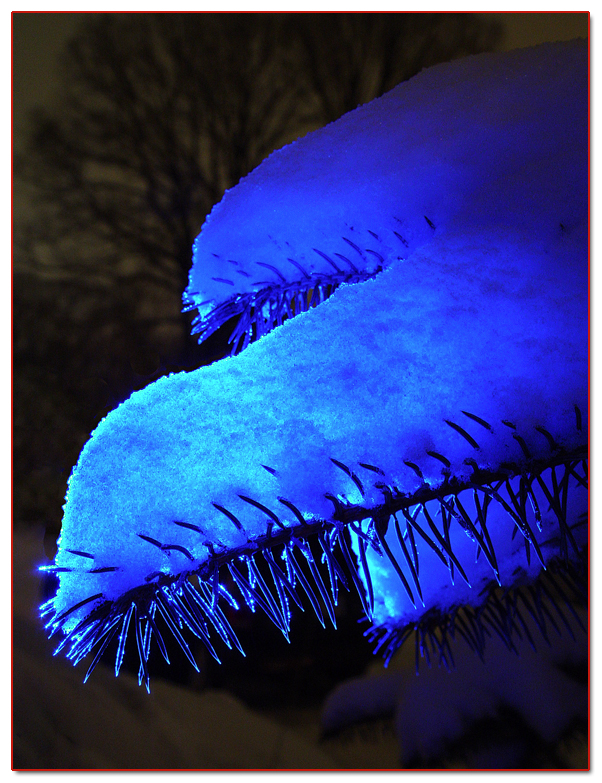 Tree at Night</b><br> <font size=2>Fremiet