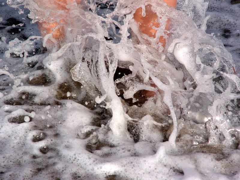 <b>Ocean Foam Strikes a Pose</b><br><font size=1>by Lou Gonzalez</font>
