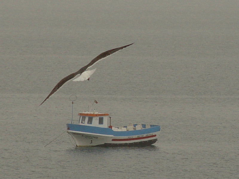 <B>Sea like a mill-pond</B><BR>*<FONT size=2>Jos Maria Simes</FONT><BR><FONT size=1>change was made to the original</FONT>