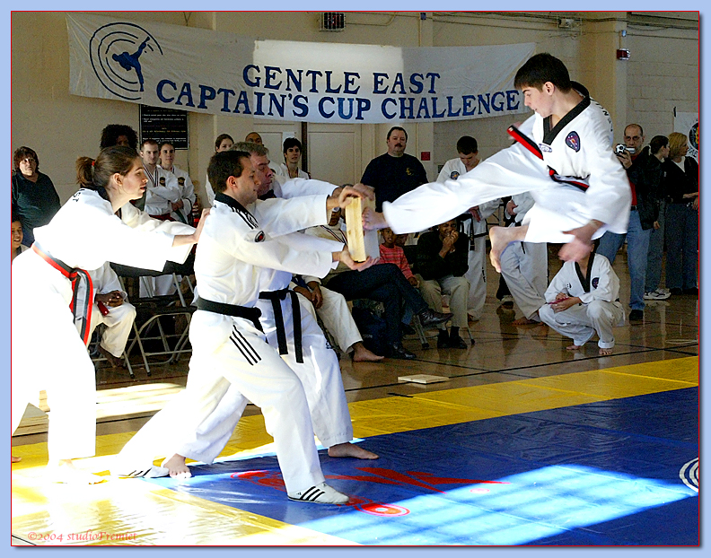 Flying Break<br><font size=2>Fremiet