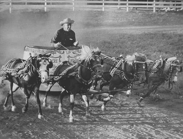 Ben Hur by tom c