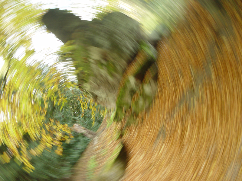 <b>Camera Shake - Sort Of</b><br><font size=1>by Garry Platt</font>