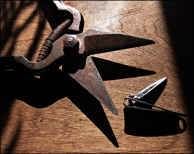 Big Clippers, Little Clippers <br> by mlynn
