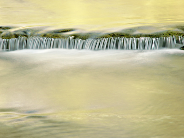 Liquid Gold<br> by Greg