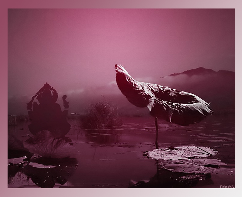 <b>Fluid States</b><br><font size=1>A Challenge Header Photo</font>