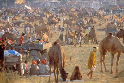 The Pushkar Camel fair
