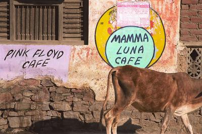 MamaLuna320Cafe.jpg