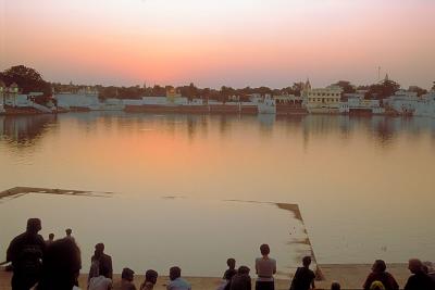 Twilites379Pushkar.jpg