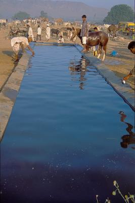 Water369Trough.jpg