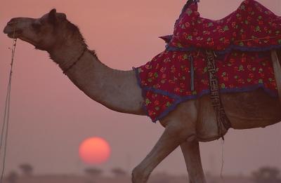 jaisalmer_the_golden