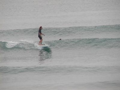 P1010020aa.JPG