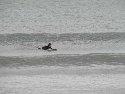 P1010049a.JPG