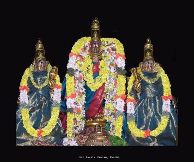Sri Pravalavalli Thayar Sri Pravalavannan Navarathiri Uthsavam Day9 (2013)
