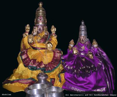 senchu lakshmi amruthavalli thAyAr