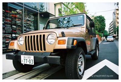 u39/syling/medium/32419130.24.jpg