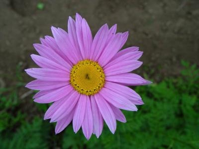 DSC02782_02_web.jpg