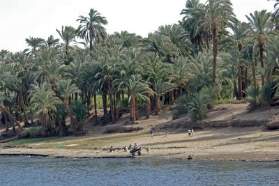 Between Luxor and Esna