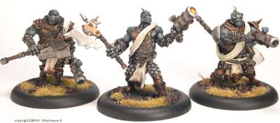 WM_Merc_Trollkin_1.jpg