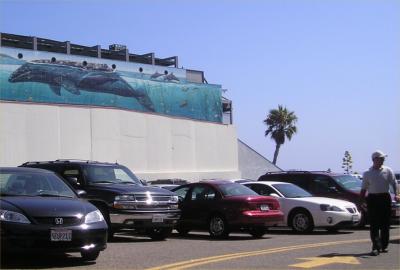 Whale of a parking lot